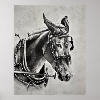 Affiches La patience est une vertu