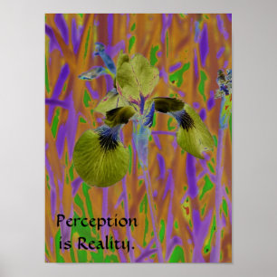 Affiches La perception est Affiche-Iris de réalité