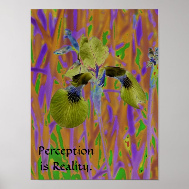 Affiches La perception est Affiche-Iris de réalité (Devant)
