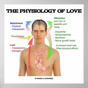 Affiches La Physiologie De L'Amour (Symptômes De L'Amour)