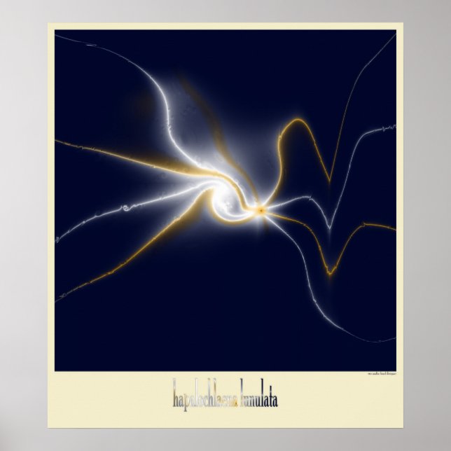 Affiches la pieuvre bleue (Devant)