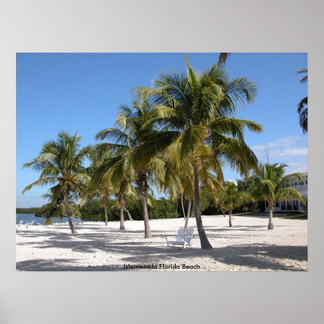 Affiches La plage d'Islamorada en Floride (Devant)
