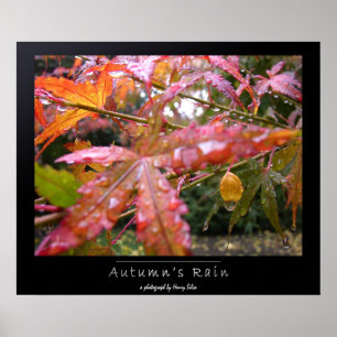Affiches La pluie d'automne