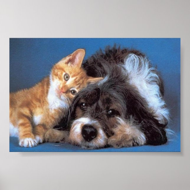 Affiches là pour vous (Devant)