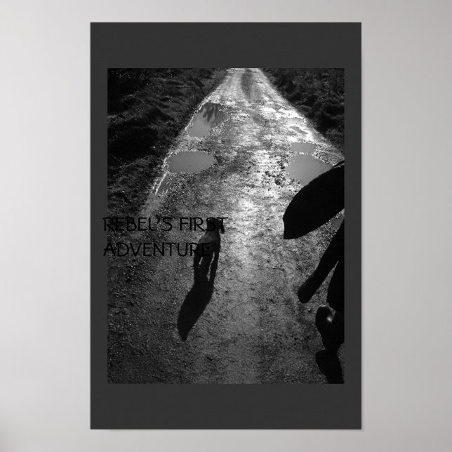 Affiches La première aventure de Rebel (Devant)