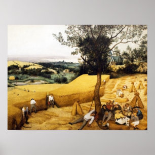 Affiches La récolte de maïs - 1565