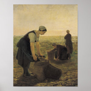 Affiches La récolte de pommes de terre
