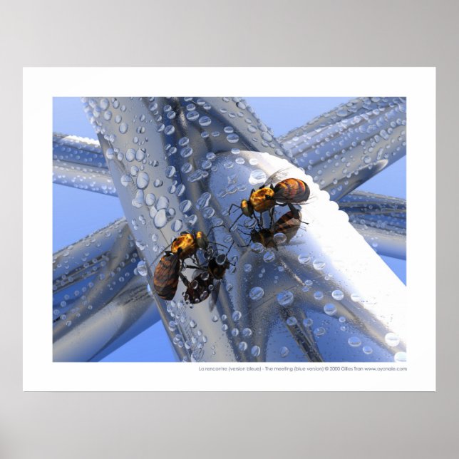 Affiches La rencontre - La réunion (version bleue) (Devant)