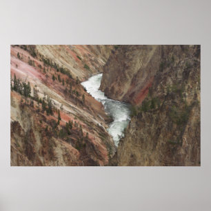 Affiches La rivière Yellowstone