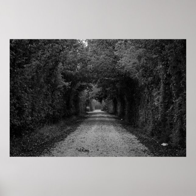 Affiches La route sombre (Devant)