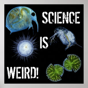 Affiches La Science est d'affiche étrange !