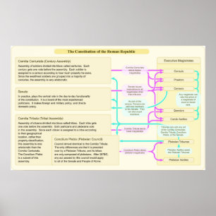 Affiches La structure constitutionnelle de la République