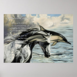 Affiches La terre de frère, mer de soeur