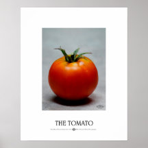 La tomate