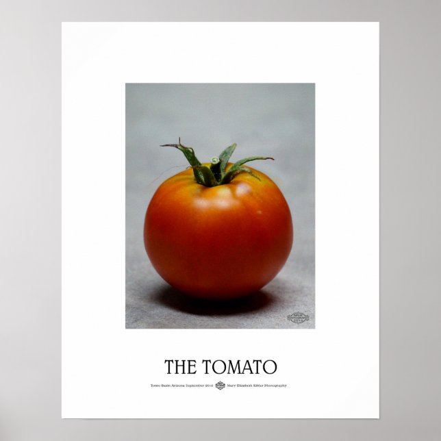 Affiches La tomate (Devant)