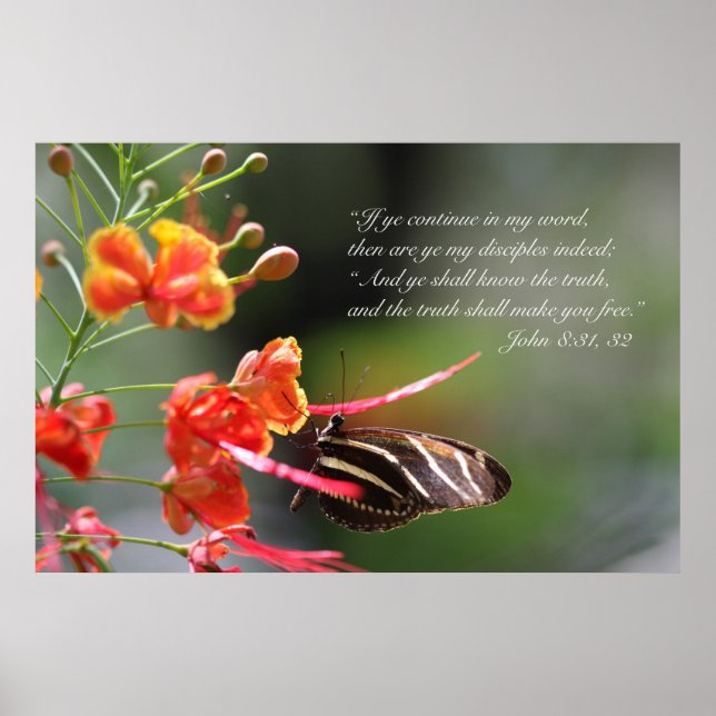 Affiches La Vérité vous libèrera Poster, Version C (Devant)