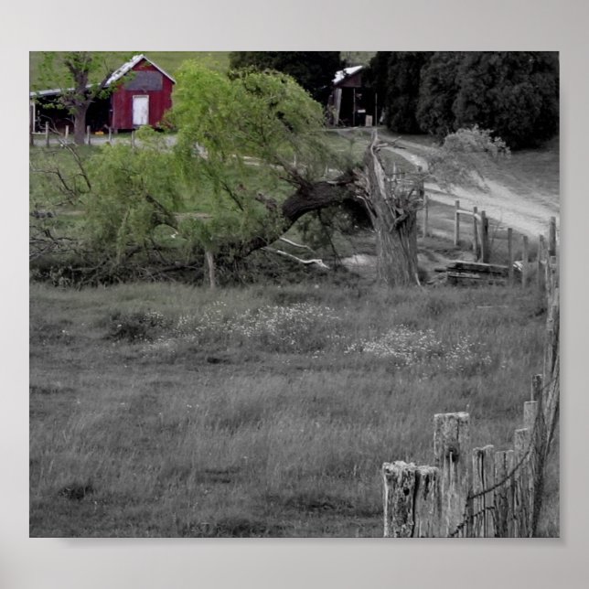 Affiches La vie après une catastrophe (Devant)