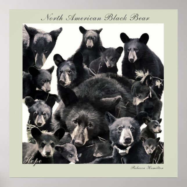 Affiches La vie de Hope (Devant)