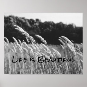 Affiches La vie noire et blanche est une belle citation