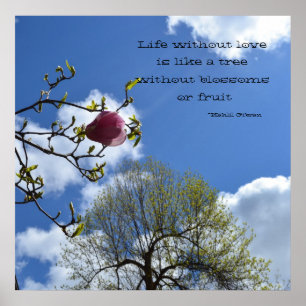 Affiches La vie sans amour est comme