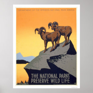 Affiches La vie sauvage de conserve WPA 1939