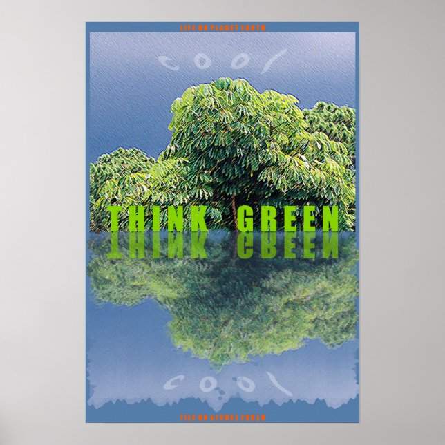 AFFICHES LA VIE SUR LA PLANÈTE TERRE (Devant)