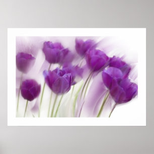 Affiches La vie sur toile