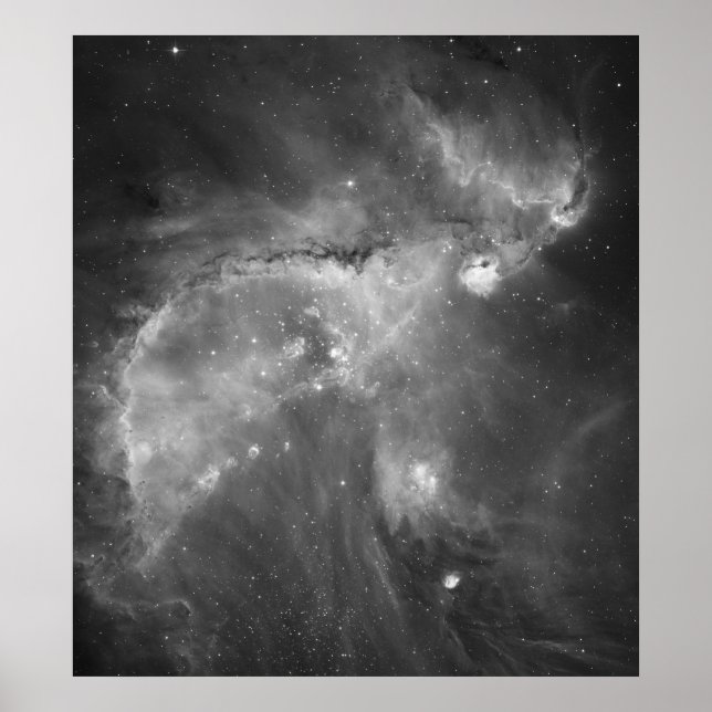 Affiches La vision noire et blanche de Hubble de l'univers (Devant)