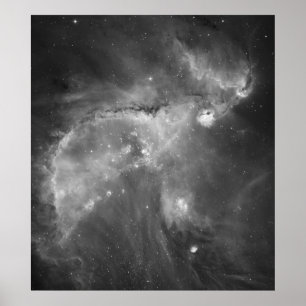 Affiches La vue noire et blanche de Hubble de l'univers