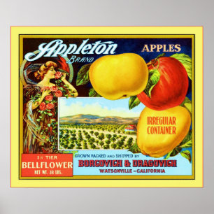 Affiches Lable vintage Fruit