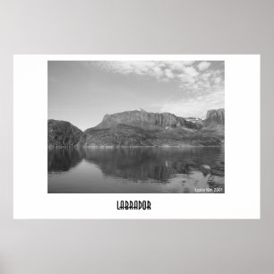 Affiches Labrador