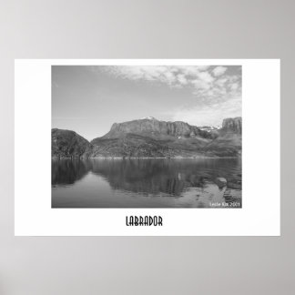 Affiches Labrador