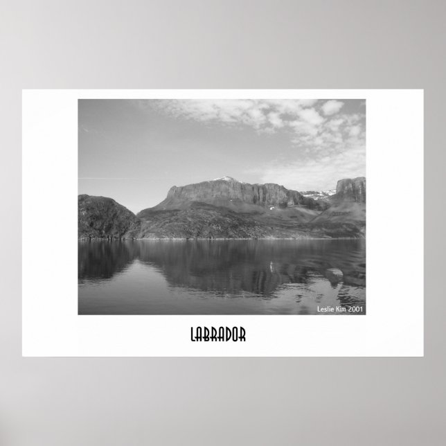 Affiches Labrador (Devant)