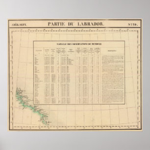 Affiches Labrador 29