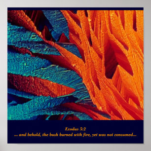 Affiches L'Abstraite brûlante de Bush