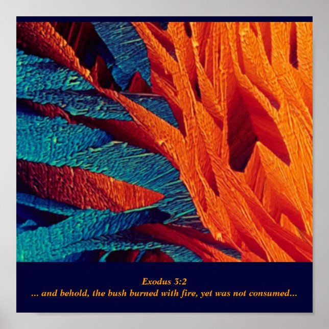 Affiches L'Abstraite brûlante de Bush (Devant)