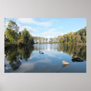 Affiches Lac bordé d'arbres