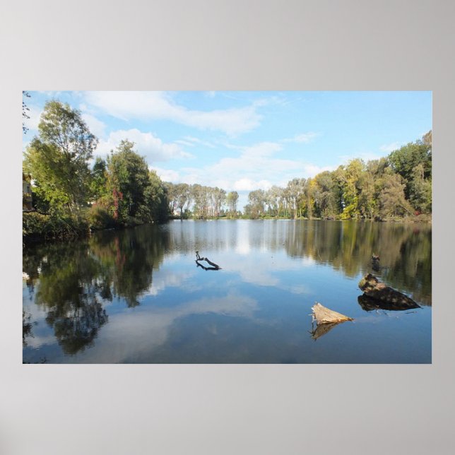 Affiches Lac bordé d'arbres (Devant)