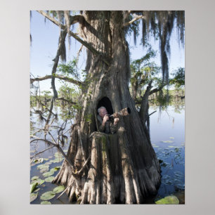 Affiches Lac Caddo, affût de chasse
