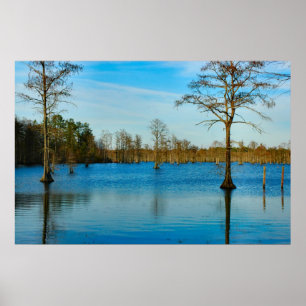 Affiches Lac Cypress