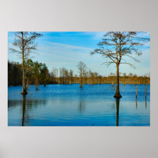 Affiches Lac Cypress