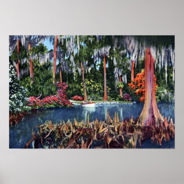 Affiches Lac de Galles Floride Cypress marécage et bateau (Devant)