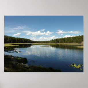 Affiches Lac des Cygnes II au Grand Teton National Park