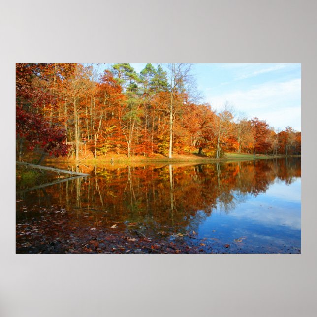 Affiches Lac Fall (Devant)