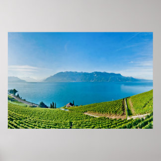 Affiches Lac Léman 007