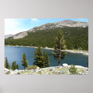 Affiches Lac Tenaya dans le parc national de Yosemite