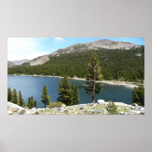 Affiches Lac Tenaya dans le parc national de Yosemite