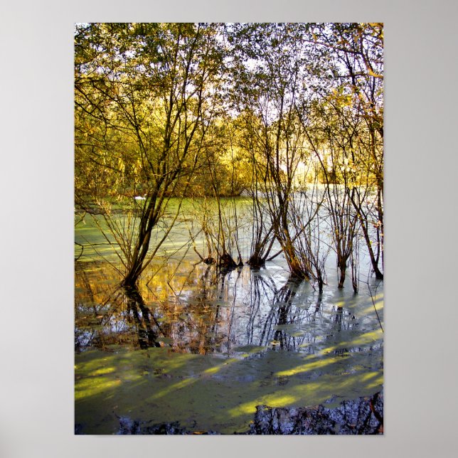 AFFICHES LACS (Devant)