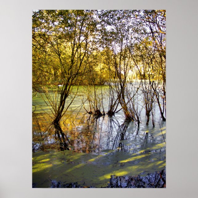 AFFICHES LACS (Devant)