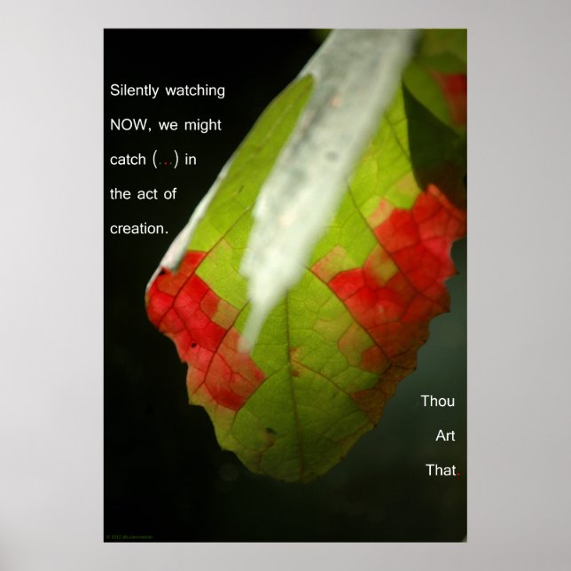 Affiches L'acte de création (Devant)